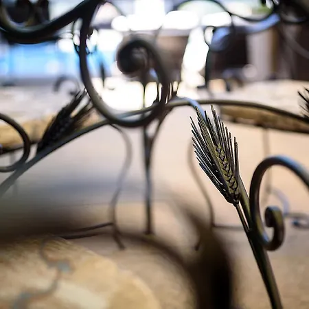 Complex Jitari Здравен курорт Zhitnitsa